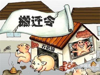 安徽养殖场拆迁案：“命运多舛”的养鸡场